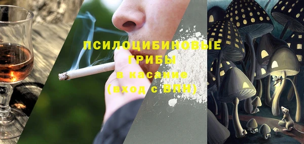2c-b Мегион