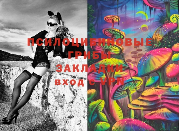 2c-b Мегион