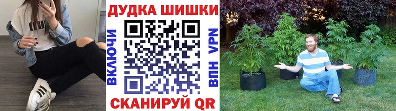 Конопля Bruce Banner  Купить  Карасук 